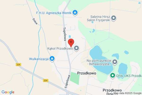 Pud. Okna, drzwi z PCV i drewna