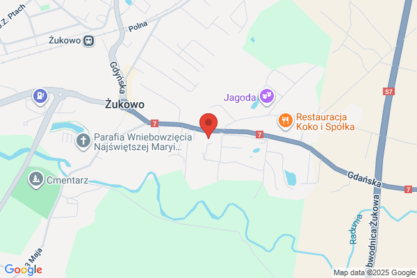 Styl SC. Lubocki L., Wielgus S.