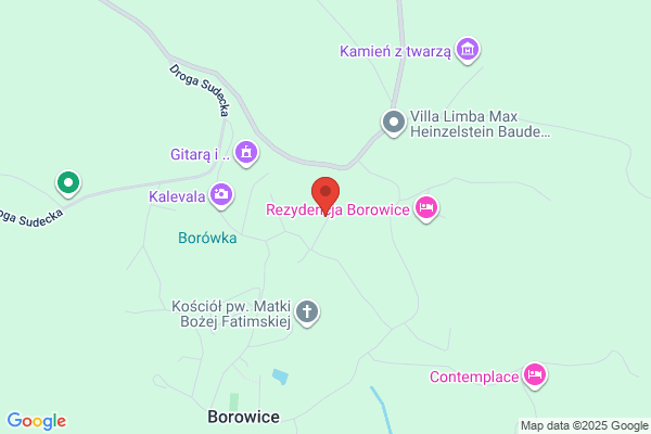 Joda. Pensjonat. Borówka A.
