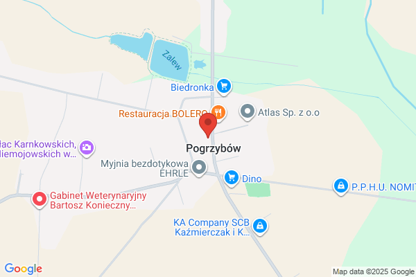 Mechanika pojazdowa