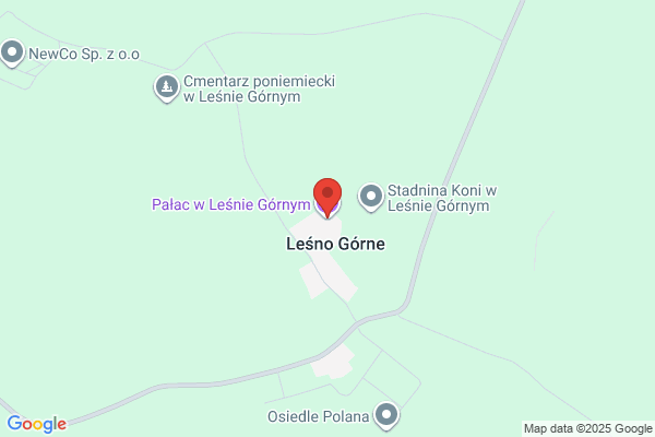 Palac w Leznie