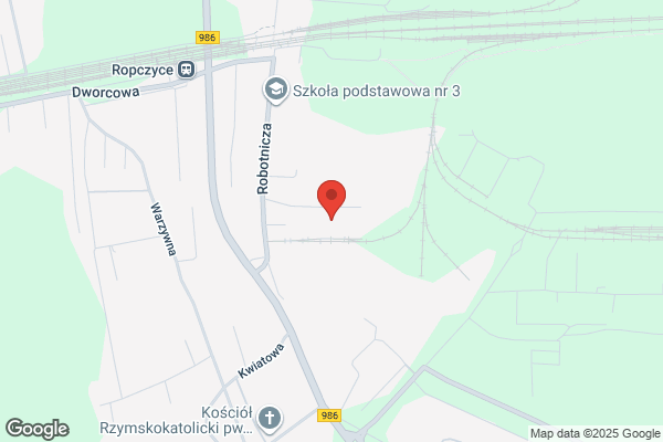 Siecinski S. Transport ciezarowy