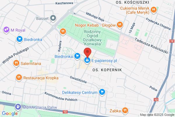 Biernacka Katarzyna. Internetowe biuro promocji