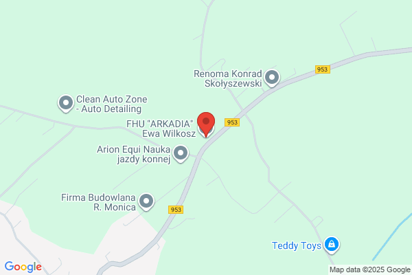 Kaczmarczyk Wioletta. Cholewkarstwo