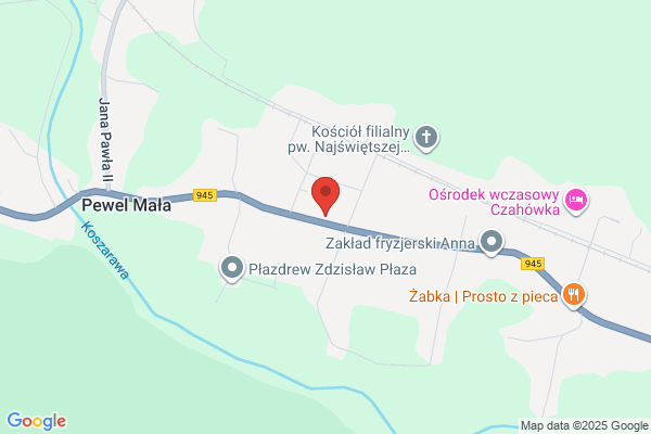 Paster. Szewstwo. Pasternak M.