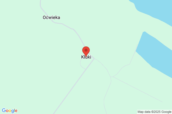 Blyskawica. Klub sportowy