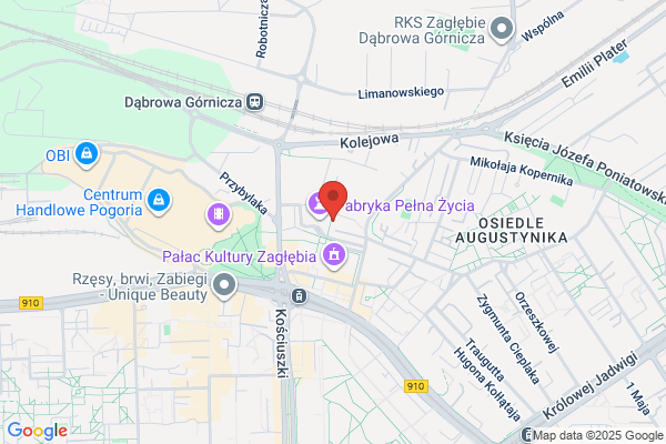 Zaglebiowska Izba Gospodarcza