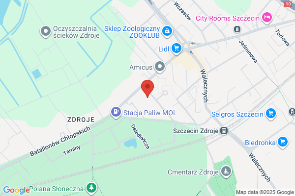 Dzierzega D. Masaz leczniczy i odchudzajacy