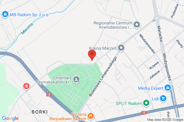 Irmex 2. Uslugi ogólnobudowlane. Raczynski J.