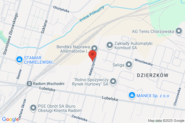 Zakład Elektroniczny Bornico