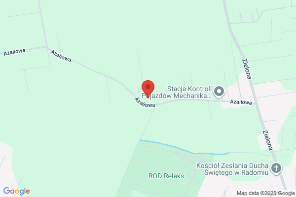 Mizera Jadwiga. Kwiaty ozdobne, balkonowe