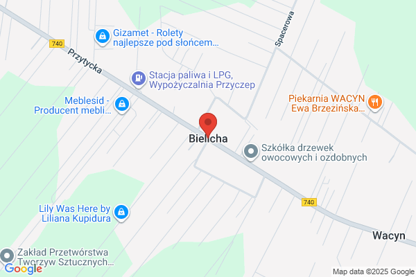 Buli. FH. Wlosik M.