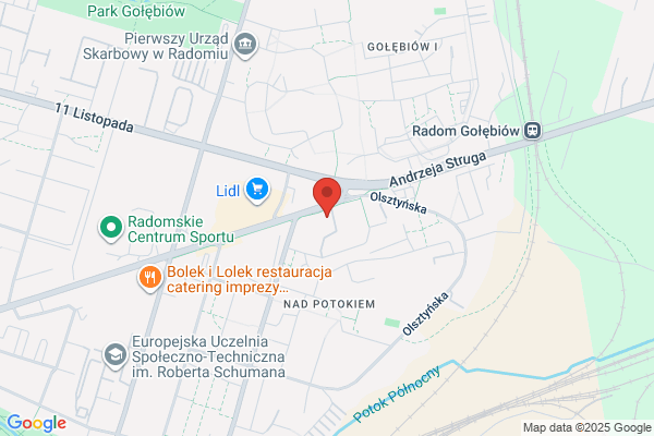 Specjalny Osrodek Szkolno - Wychowawczy dla Dzieci Niewidomych i Slabowidzacych