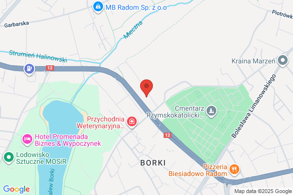Rutkowska Halina. Parking strzezony