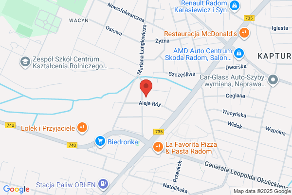 Lesiak Jan. Zaklad elektromechaniki dzwigowej