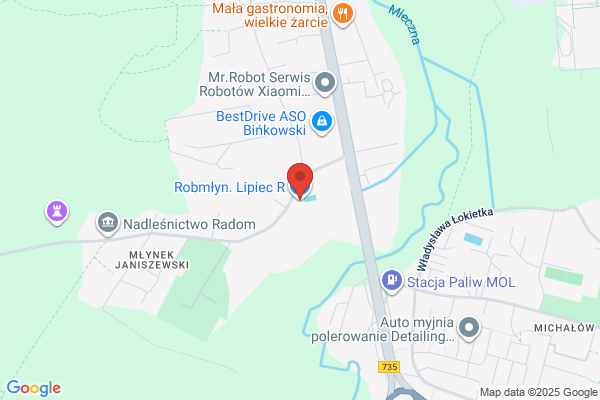Lipiec Eugeniusz. Mlyn gospodarczy