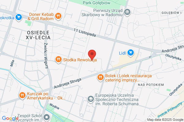 Radomiak. Klub sportowy