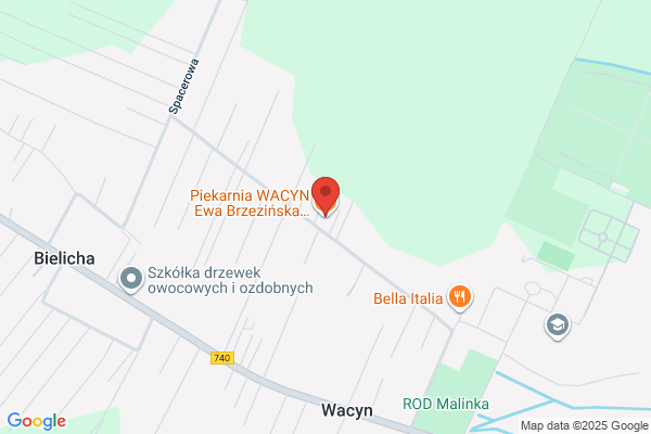 Wacyn. Piekarnia. Brzezinska E., Karczewski A.