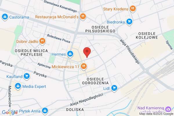 Autoczesci. Wisniewska I.