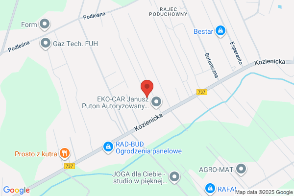 Carzone SC. Miedzynarodowe centrum sprzedazy samochodów poleasingowych. Sikora M., Staromlynska S.
