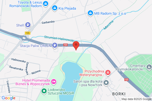 Peter. FHU. Sprzedaz samochodów uzywanych, automyjnia. Golaszewski P.
