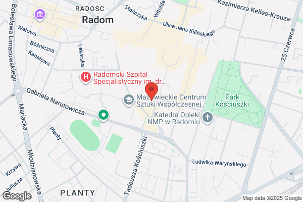 Siczek Lidia. Autohandel