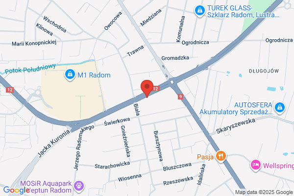 Wypozyczalnia samochodów - osobowe, dostawcze, minibusy