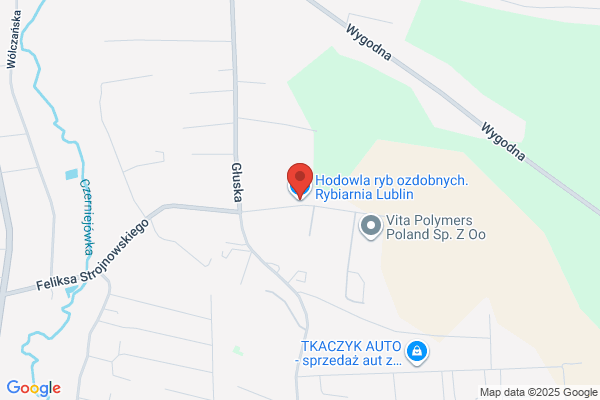 Akwarium-Rosliny. Hodowla roslin akwariowych, akcesoria. Wiatr M.