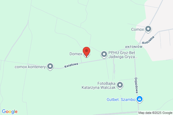 Domex