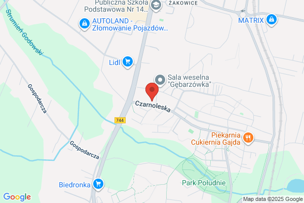 Biedronka