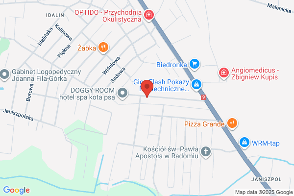 Drab Tadeusz. Transport