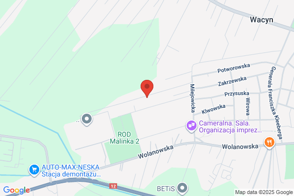 MM-Studio. Zimnicki M.