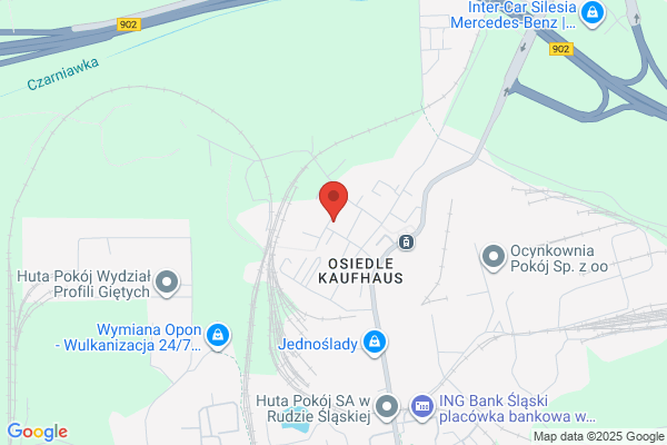 Fedyk Kazimierz. Zaklad regulatorów