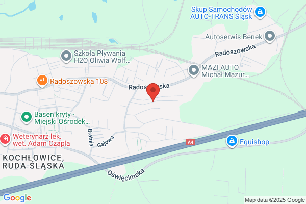 Kmicic SC. Bar. Kossakowscy A.B.