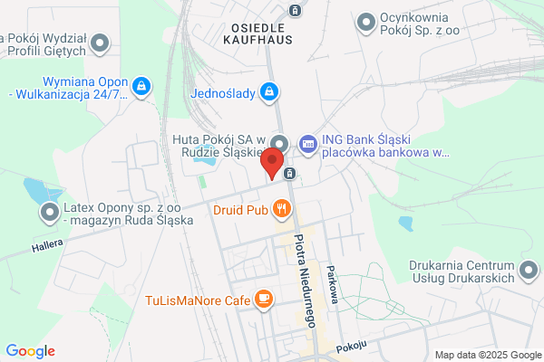 Komornik Sadowy Rewiru II przy Sadzie Rejonowym
