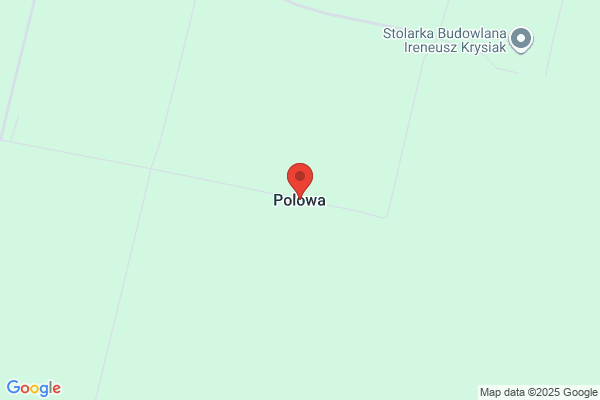 Company Of Polowscy. Polowy K.