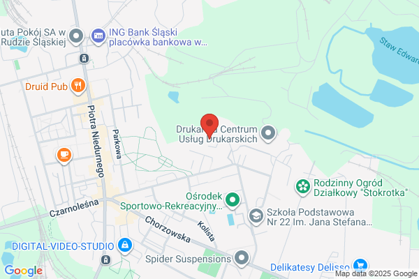 Szkoła pływania Zabrze, Ruda śląska, lekcje pływania, nauka pływania, doskonalenie pływania