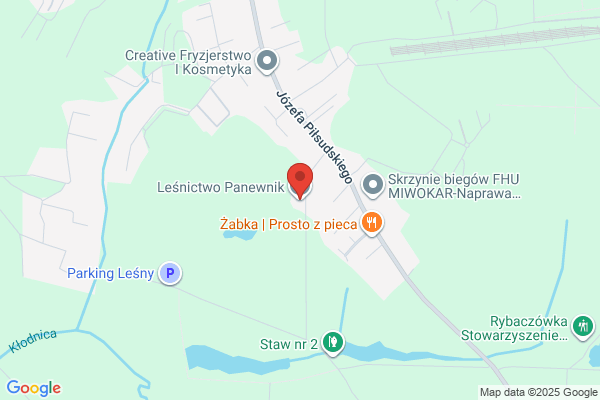 Lesnictwo Panewnik