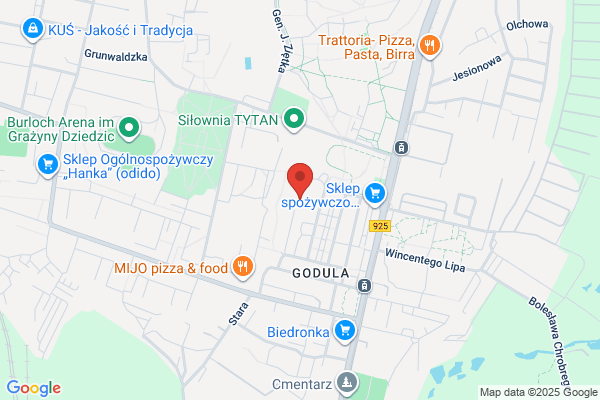 Tipson. Budowa sieci komputerowych