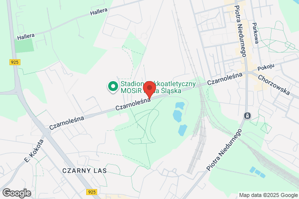 Dziennik Zachodni