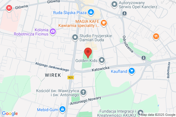 Wawel-Wirek. Klub sportowy
