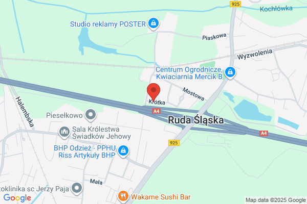Transgór. Sp. z o.o. Przedsiebiorstwo spedycyjno - transportowe