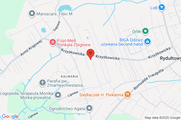 Pila Antoni i Adrian. Zaklad remontowo - budowlany