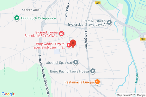 Fundacja "mAli" Wspaniali Rybnik