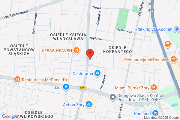 Alfa. Osrodek szkolenia kierowców