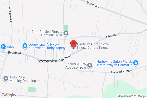 Kiara SC. Knesz A., Przybyla A.