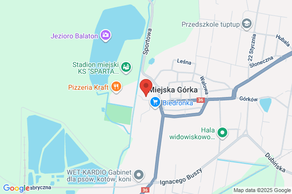 Poczta Miejska Doreczeniowa