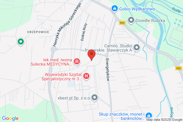 Buszka Izabela. Blacharstwo samochodowe