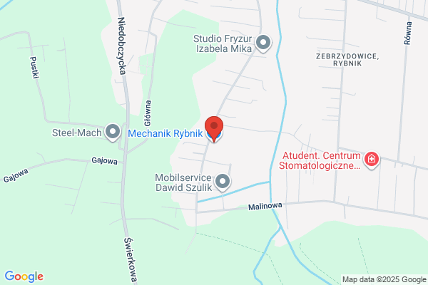 Gojny Dominik. Mechanika pojazdowa