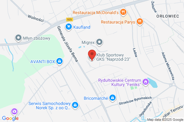 Naprzód Rydultowy. Klub sportowy